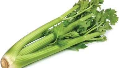 Celery Fresh