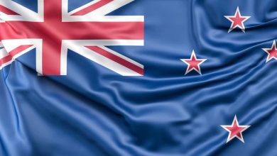 Reasons to Choose Study in New Zealand