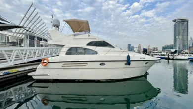Cruise Charter