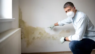 Mold Remediation