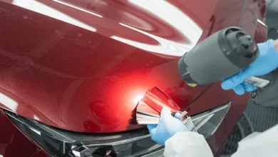 Auto Paint Finishes